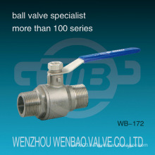 2-PC Male Threaded Stainless Steel Lever Operated Floating Ball Valve